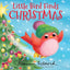 Sourcebooks-Little Bird Finds Christmas