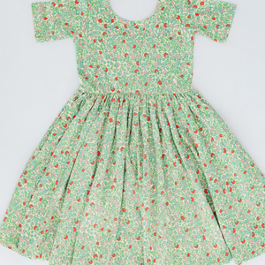 Good Apples-Short Sleeve Twirl Dress in Spring Green Floral