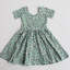 Good Apples-Short Sleeve Twirl Dress in Bella Blue Floral