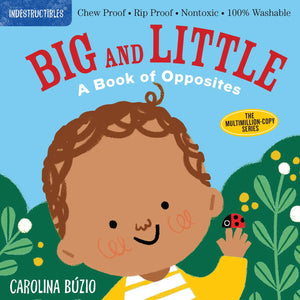 Indestructibles Book-Big and Little: A Book of Opposites