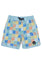 Feather 4 Arrow- Palm Check Boardshort