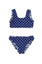 Feather 4 Arrow-Island Hopper Reversible Bikini