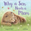 Sourcebooks - Why a Son Needs a Mom